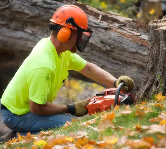 tree services Delcambre